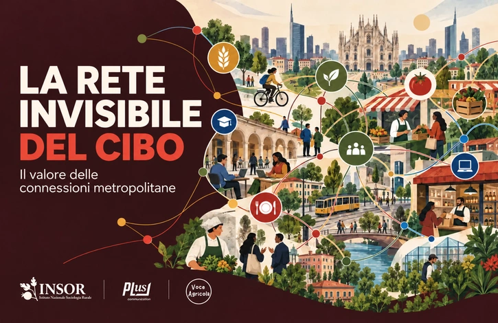 La rete invisibile del cibo: il valore delle connessioni metropolitane